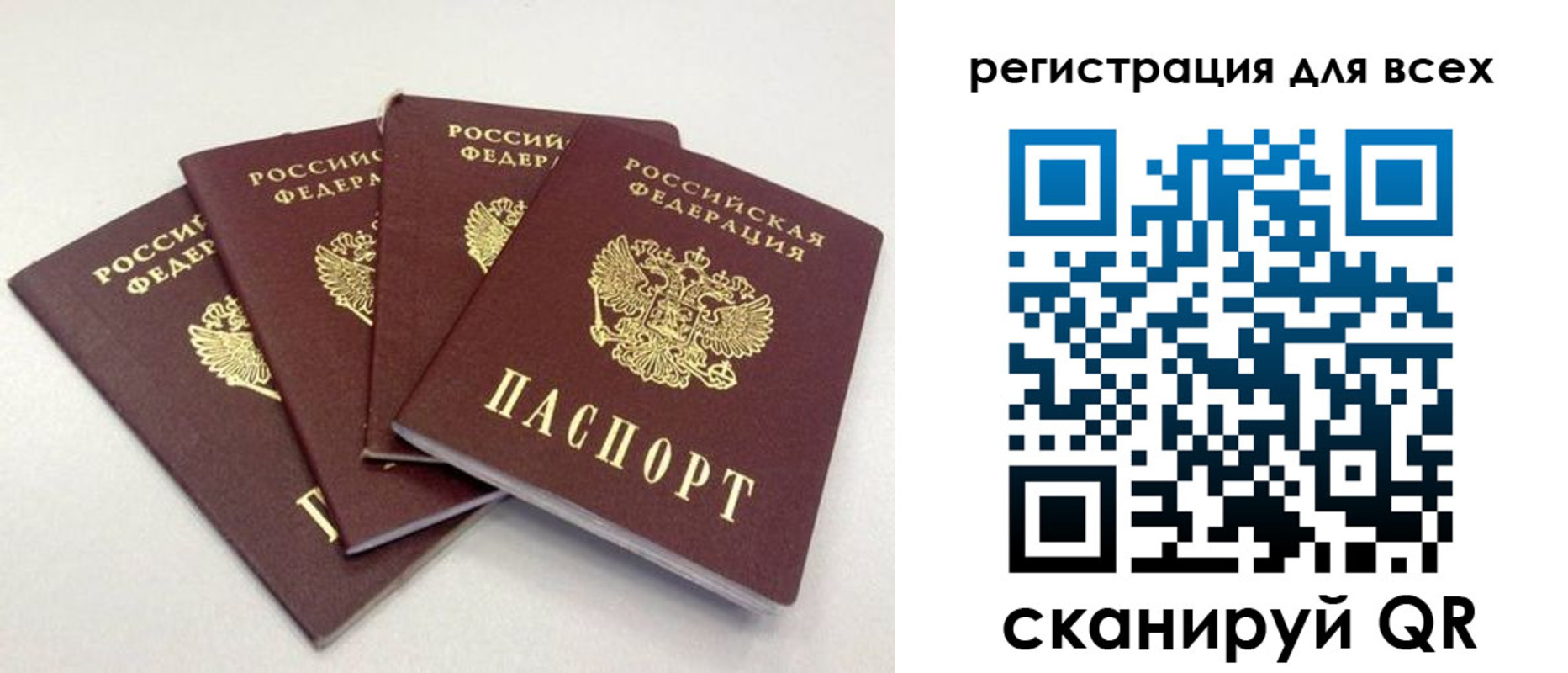 прописка законно в Зернограде